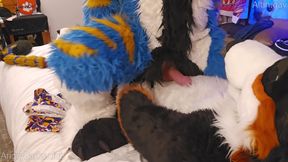 Big Dog Teaches The Little Kitty How To Sit #knot #knotfucking