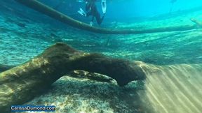 Cat Woman returns to Carissa form and snorkels the dark tree limb forest