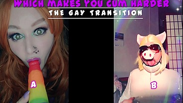 The Gay Transition THIS IS YOUR STARTING POINT NEWBIES