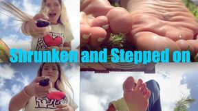 Shrunken and Stepped on - New Giantess Genesis 720