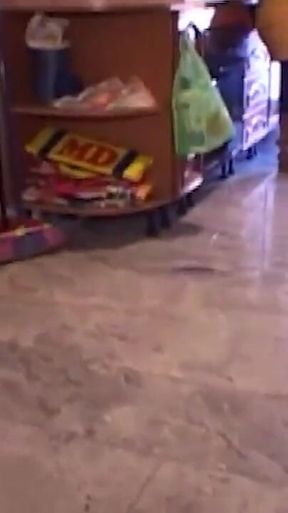 Итальянский 