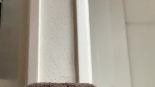 Rubberholefun self pleasure anal stretching