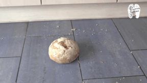 Bread under Winter Boots head and floor view