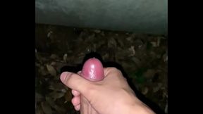 野外オナニー
