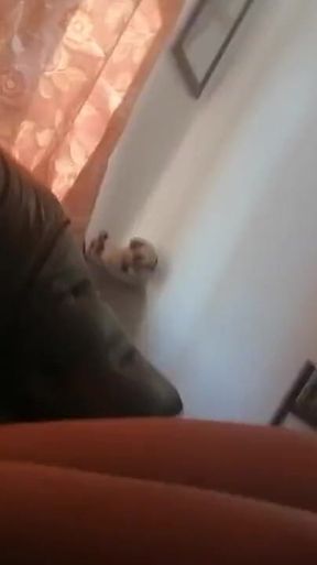 Stepmother Wears a Red Dress to Seduce Me