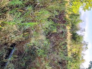 Enjoying Nature!