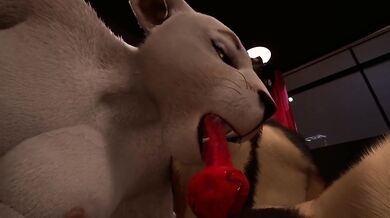 Midnight Paws & Purrs (Wild Life)