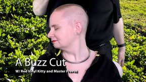 A Buzz Cut 4k