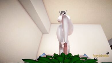 Furry Hentai - White Wolf x Human Dragon POV Footjob
