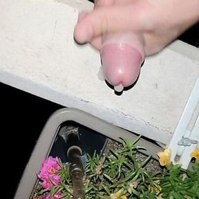 Masturbation on the balcony of the stepsister