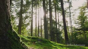 BNWO Europe & America ASMR