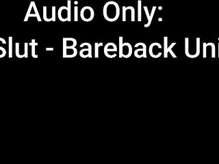 Audio Solely: Campus Bitch- Bareback University