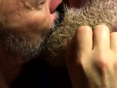 Hairy bears passionate kissing
