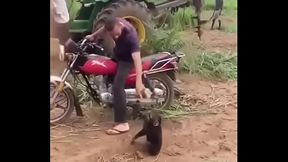 VID-20170522-WA0339