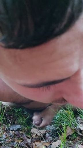 SEX IN NATURE