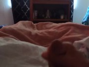 Sexy hunk verbally jacking off until cum on own stomach and chest