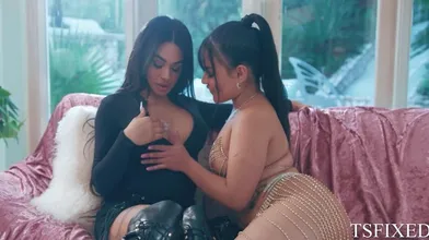 Trans Photographers Big Dick Fuck A Small Sized Latina