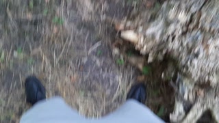 We caught our neighbor masturbating against a tree and we started masturbating too - IkaSmokS