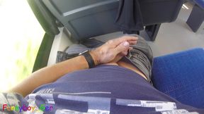 Beautiful Cock and Beautiful Scenery: Hot Masturbation on a Moving Train in the Allgäu Region.