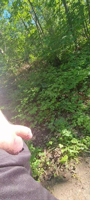Flashing dick in wood