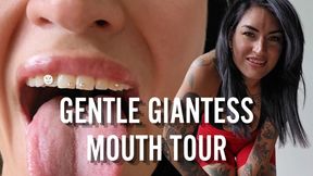 Gentle Giantess Mouth Tour