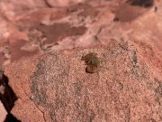 Hiking and Hot Sex near the Grand Canyon!