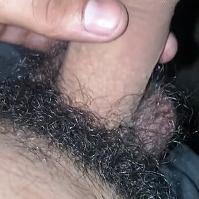 Desi boy masterbation in alone bathroom