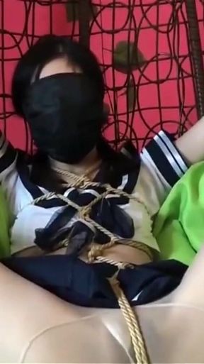 Hanging Chair Restraint Adjustment