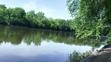 Gave Her a Creampie in Nature (almost Caught)