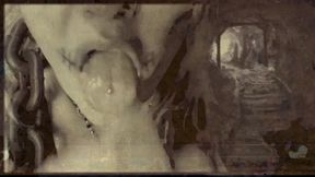 found footage vhs tape found in an old basement femcan troll stealing semen