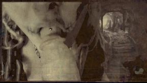 found footage vhs tape found in an old basement femcan troll stealing semen