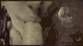 found footage vhs tape found in an old basement femcan troll stealing semen