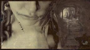 found footage vhs tape found in an old basement femcan troll stealing semen