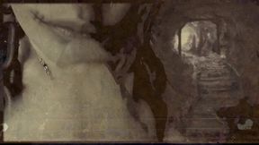 found footage vhs tape found in an old basement femcan troll stealing semen