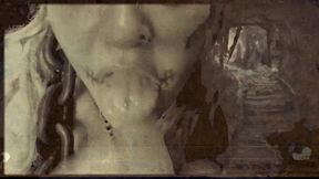 found footage vhs tape found in an old basement femcan troll stealing semen