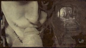 found footage vhs tape found in an old basement femcan troll stealing semen
