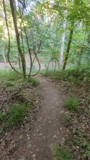 Slut in a🌳Grove [29Jun25] OFFERED &amp; USED French transvestite exhibition. VaneSsaBiTCHx Brunoy91