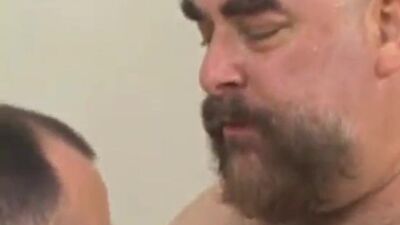 Big chubby bears are having wild gay sex in the sauna