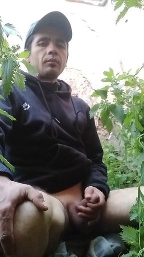 My Cock Want You