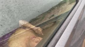 Wife getting taken in the back of a redditors car while I play lookout