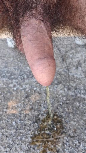 Outdoor pissing