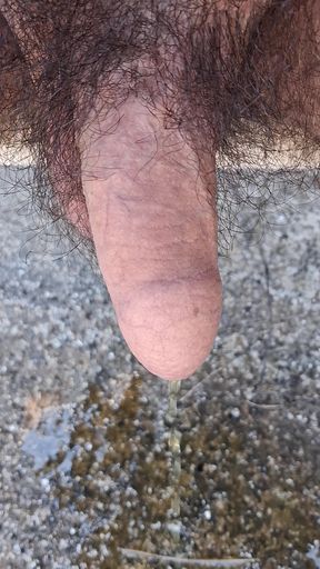 Outdoor pissing