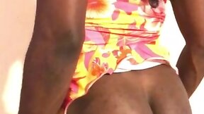 Ebony Cd Sissy Gina - Twerk Dat Ass