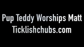 Pup Teddy Worships Matt's Feet in Jersey (1080p HD)
