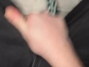 Snap Leaked! Caught shagging the popular bully!