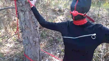 Outdoor MILF 3 Scenes: Blowjob, Bondage, and Creampie