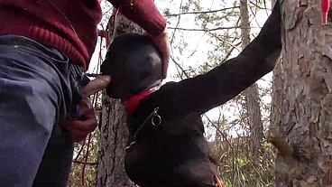 Outdoor MILF 3 Scenes: Blowjob, Bondage, and Creampie