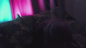 Training a rabbit to dress as a crossdresser