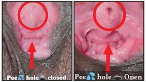 First Time Close up View of Indian Ankita Bhabhi Pussy