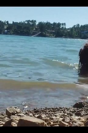 I Sucked the Tattooed Dick in the Water in Front of All the Tourists Who Was Rided by Boat at the Late Afternoon